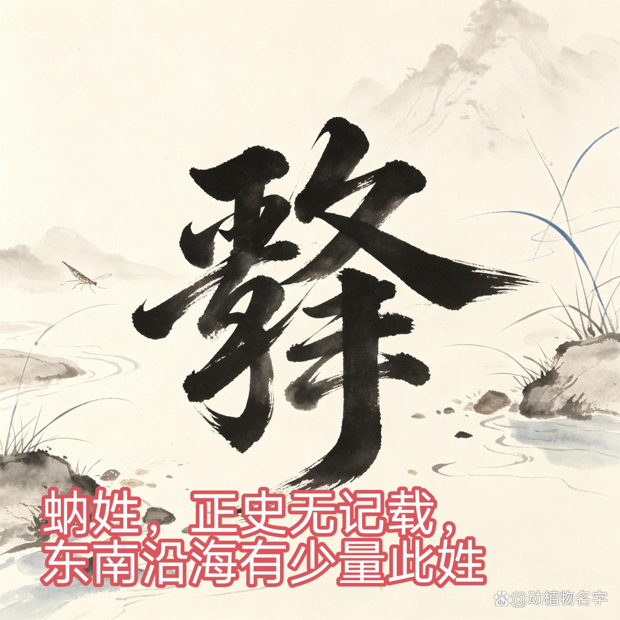 动物姓氏取什么名字好(动物姓氏取什么名字好一点)