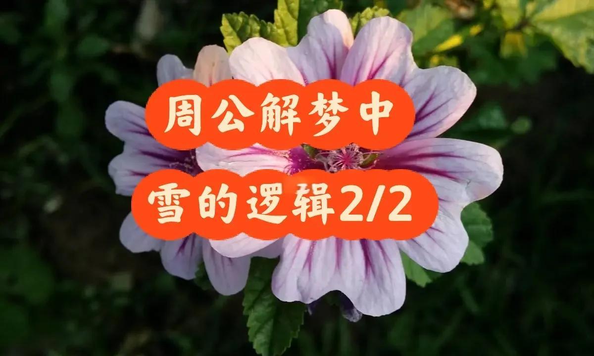 解梦周公下雪什么意思啊(周公解梦女人梦见下雪是什么意思)