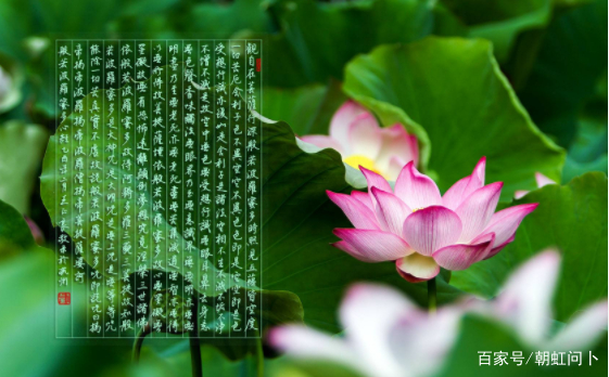 易经文字问卜卦详解(易经文字问卜卦详解视频) 易经文字问卜卦详解(易经文字问卜卦详解视频)