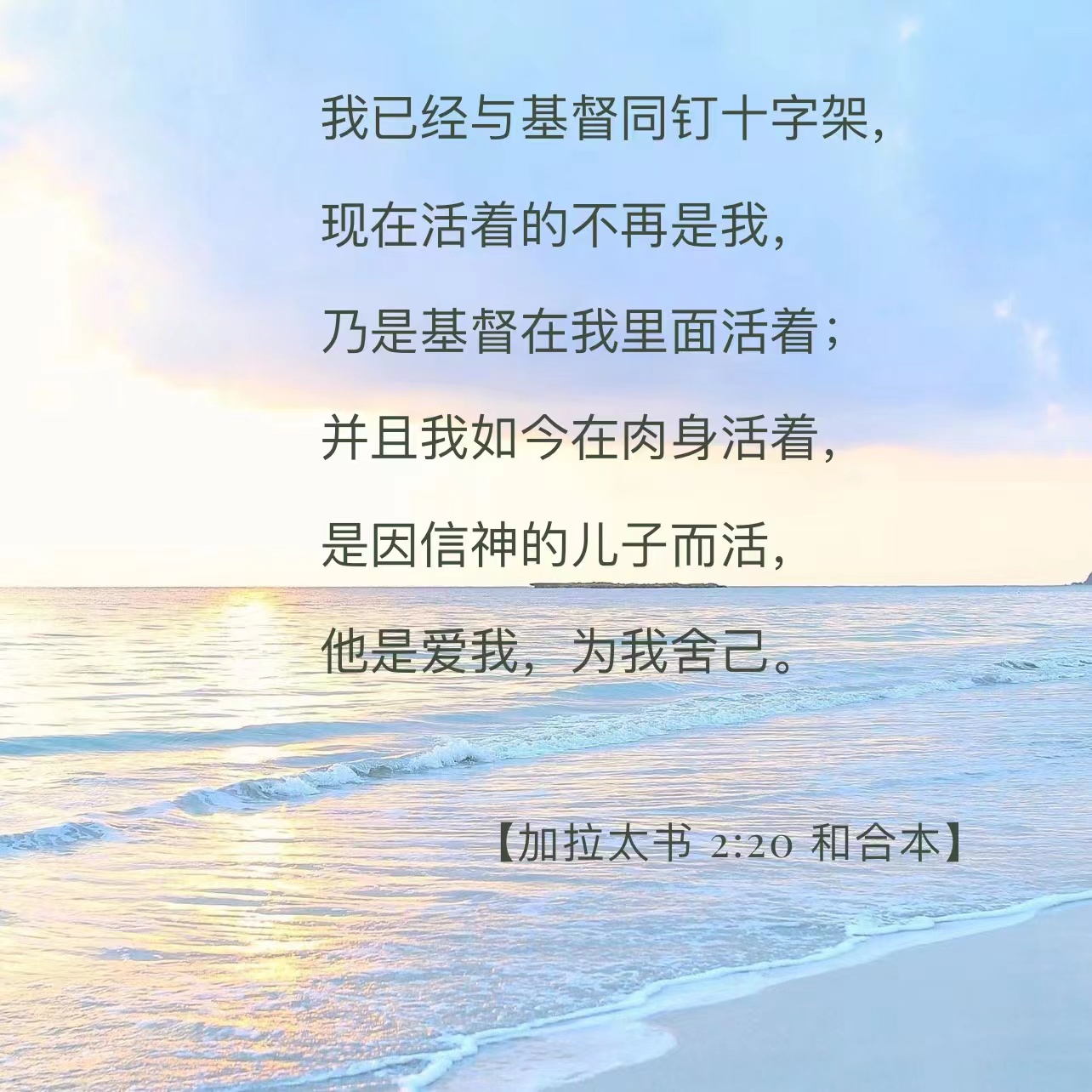 圣经测试(圣经测试题及答案) 圣经测试(圣经测试题及答案)