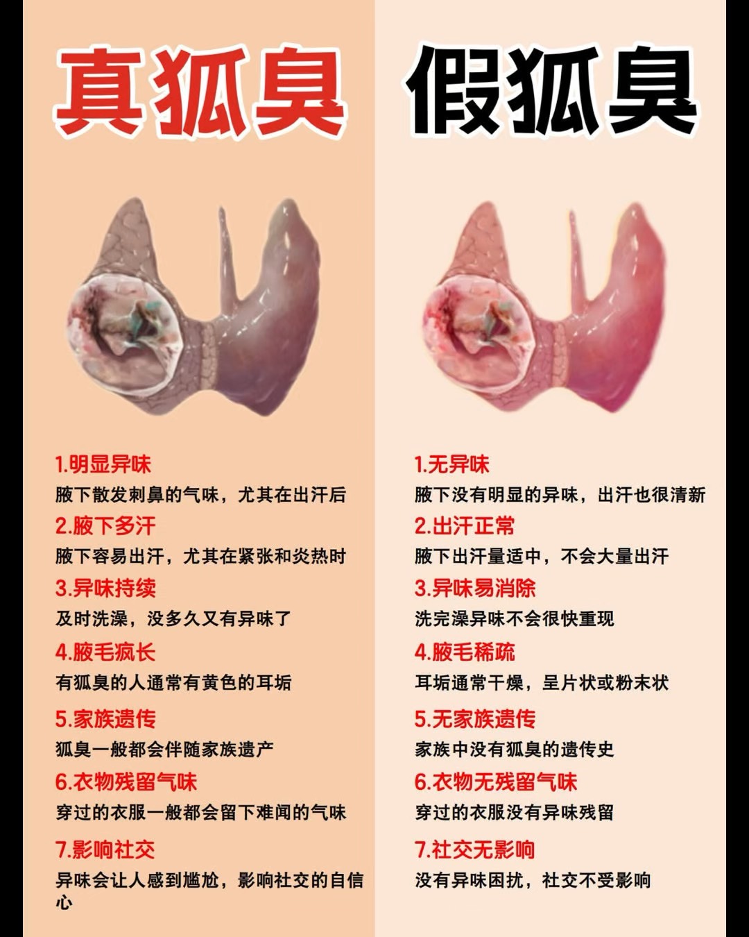 狐臭在中医上属于什么(中医治狐臭最有效的方法)
