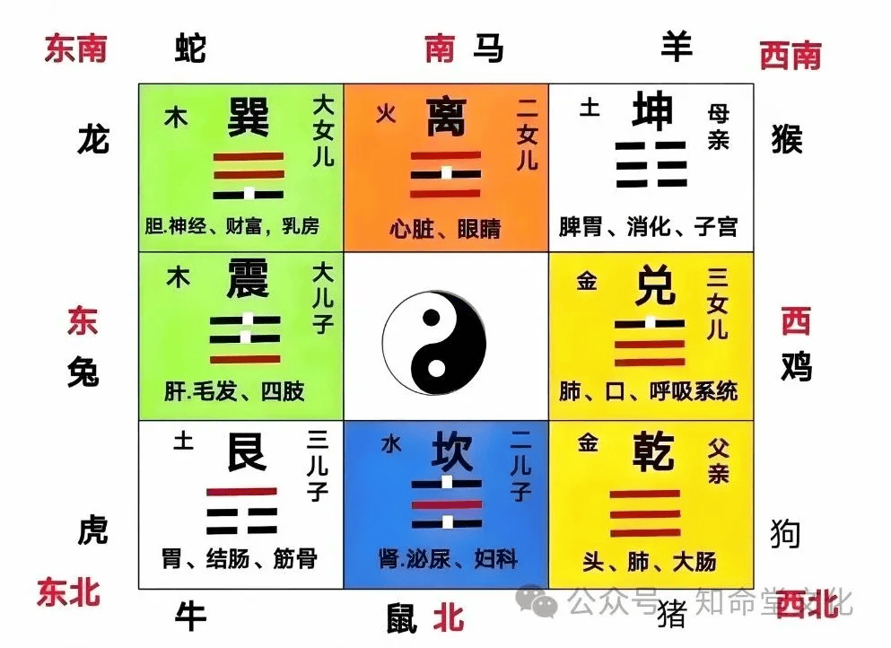 风水旺次子的方向(长子次子的房间风水) 风水旺次子的方向(长子次子的房间风水)