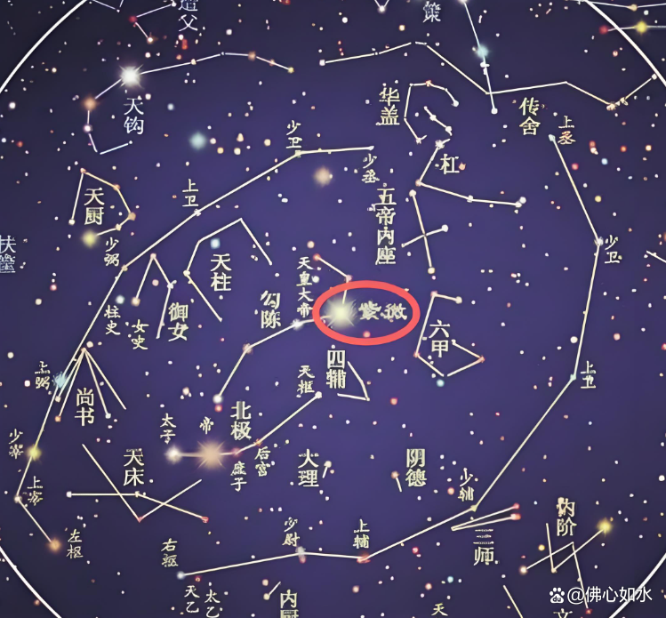八字免费测算紫薇(看紫微斗数的app)