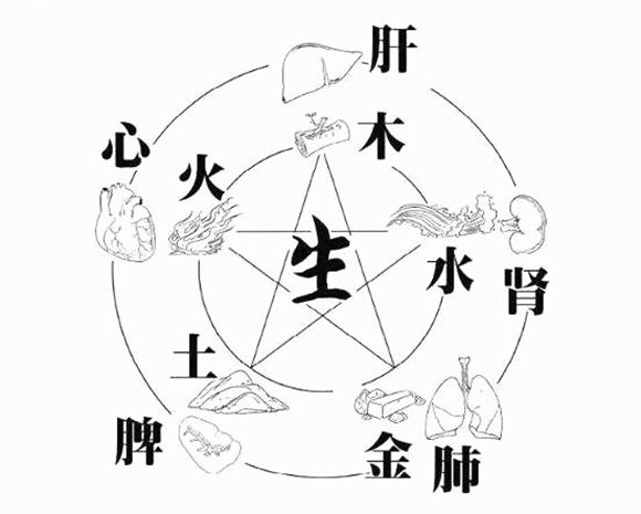 怎么查什么命金木水火土(怎么查自己金木水火土属性)