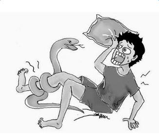 周公解梦梦见蛇咬了自己(梦见被猫咬周公解梦大全查询)