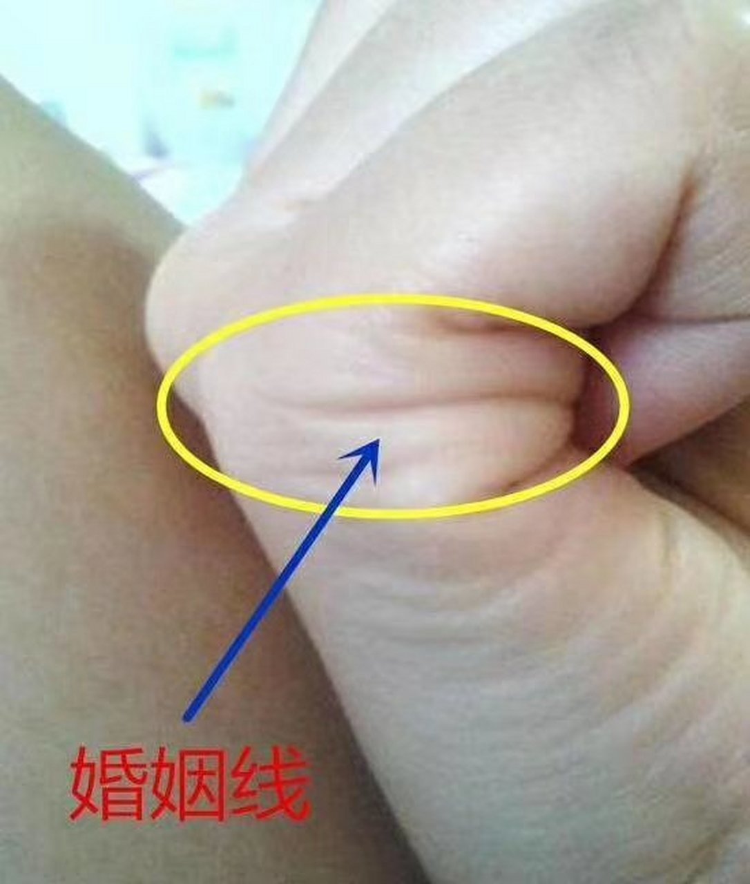 怎么算姻缘什么时候出现(算姻缘什么时候出现没有夫妻星) 怎么算姻缘什么时候出现(算姻缘什么时候出现没有夫妻星)