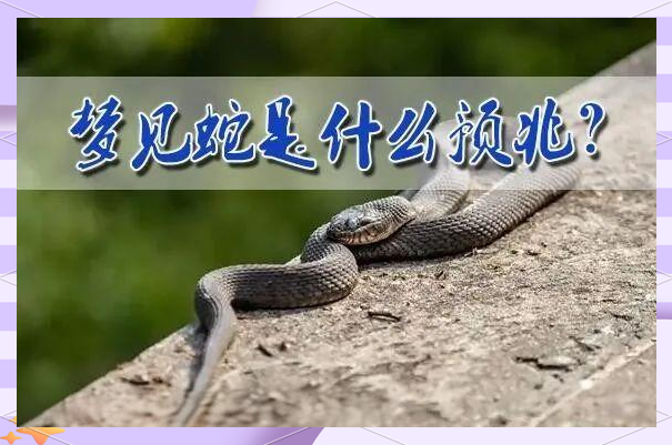 周公解梦免费自查梦见蛇(周公解梦免费自查梦见蛇缠身)