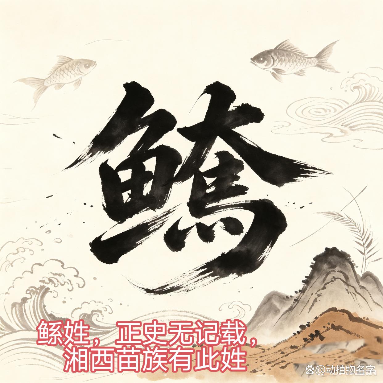 姓代表什么动物(姓名代表什么动物) 姓代表什么动物(姓名代表什么动物)
