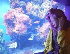 星籁是什么(星籁白噪音是什么app) 星籁是什么(星籁白噪音是什么app)