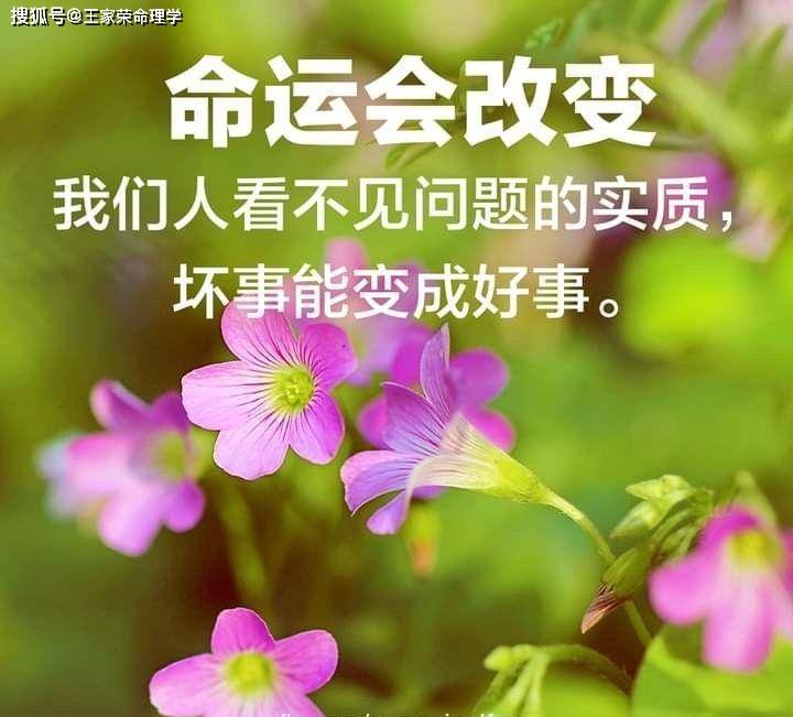 非常运势今日运程(非常运势今天运势怎么算)