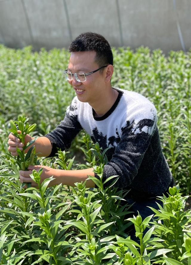 杨清禾名字一般人压不住吗的简单介绍 杨清禾名字一般人压不住吗的简单介绍