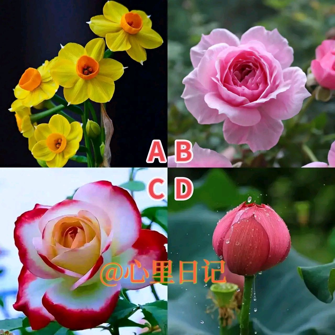 下半年运势测算(2025下半年运势)