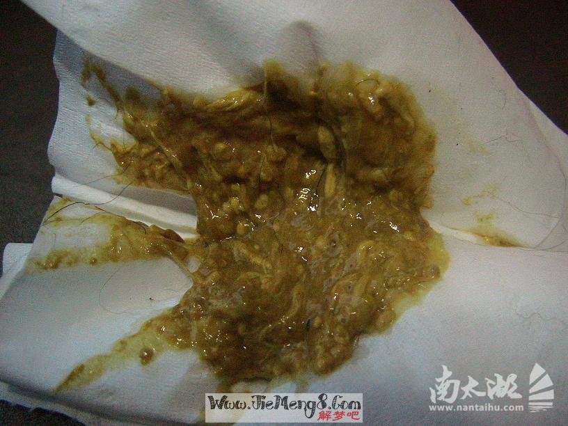 梦见粪便的解梦(梦见粪便含义的科学解读)