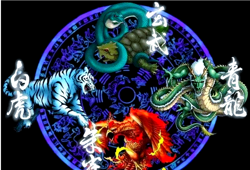 白虎在八字中代表什么意思(白虎在八字中代表什么意思婴幼儿吃什么菜饭好)