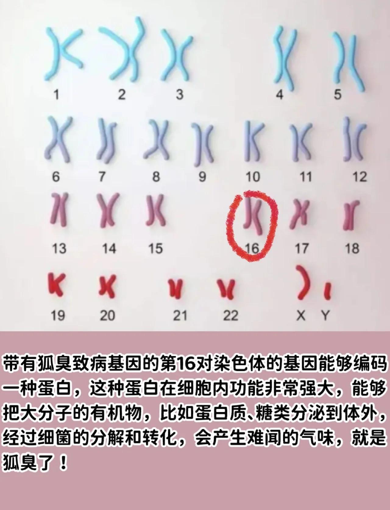 狐臭有玄学征兆吗(狐臭有什么明显的特征)