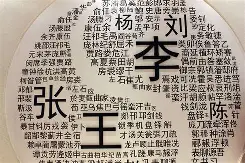 龙清禾这个名字怎么样好听吗(龙清禾这个名字怎么样好听吗女孩)