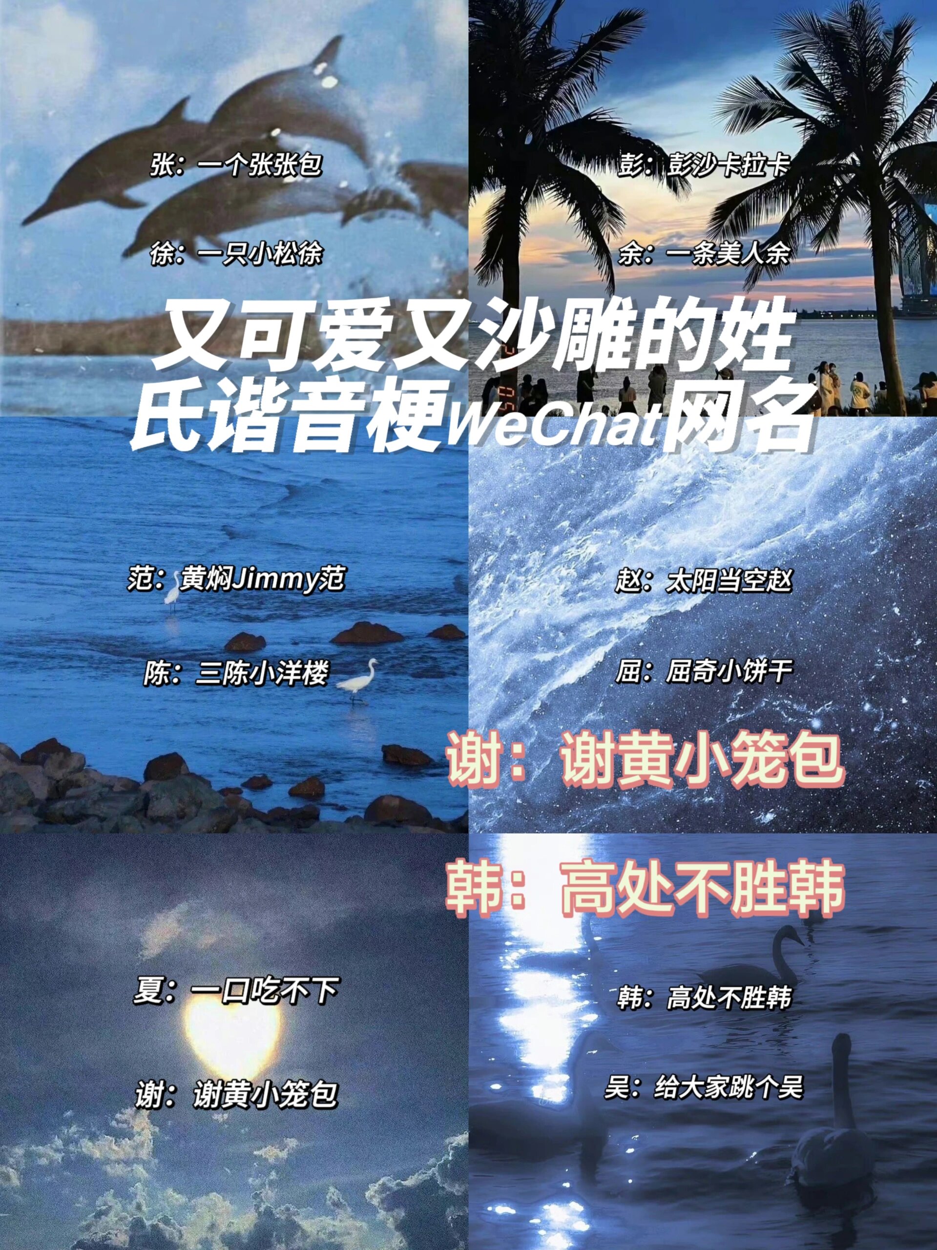 100个姓氏网名王字开头(100个姓氏网名王字开头男) 100个姓氏网名王字开头(100个姓氏网名王字开头男)