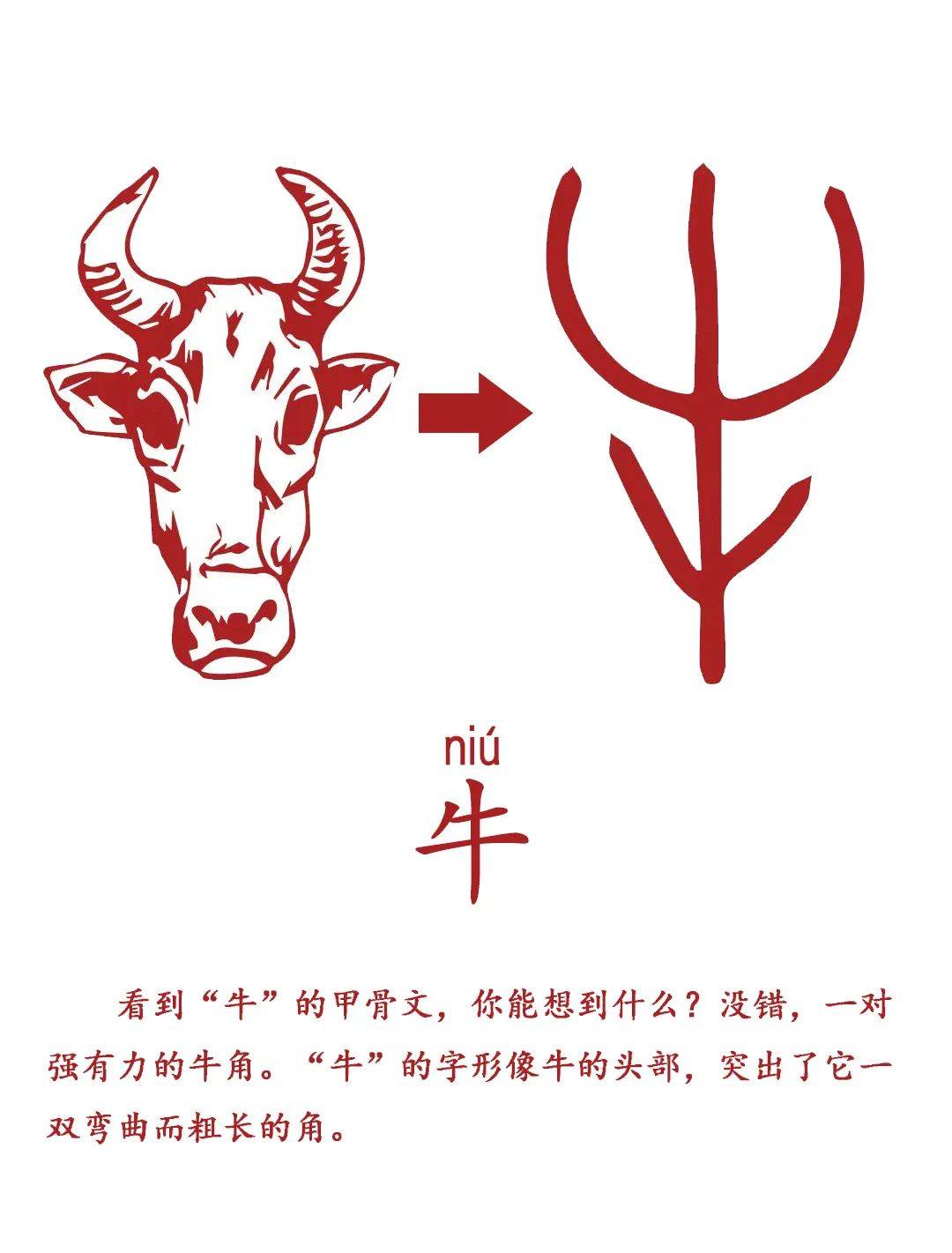 牛姓百字(牛姓百家姓排名)