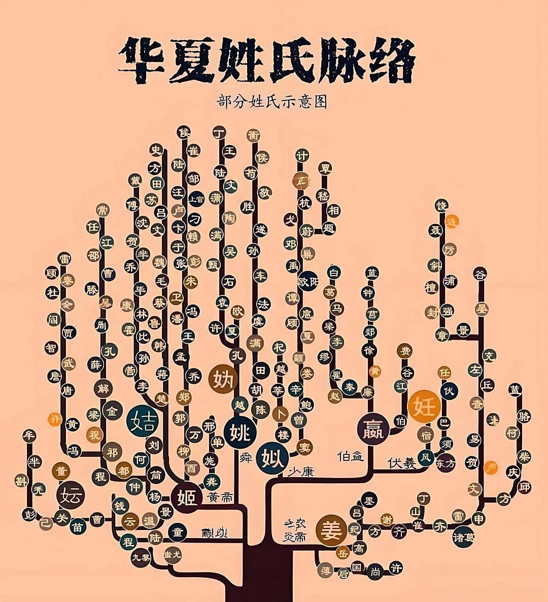 百家姓一共有多少个姓氏(百家姓一共有多少个姓氏?)