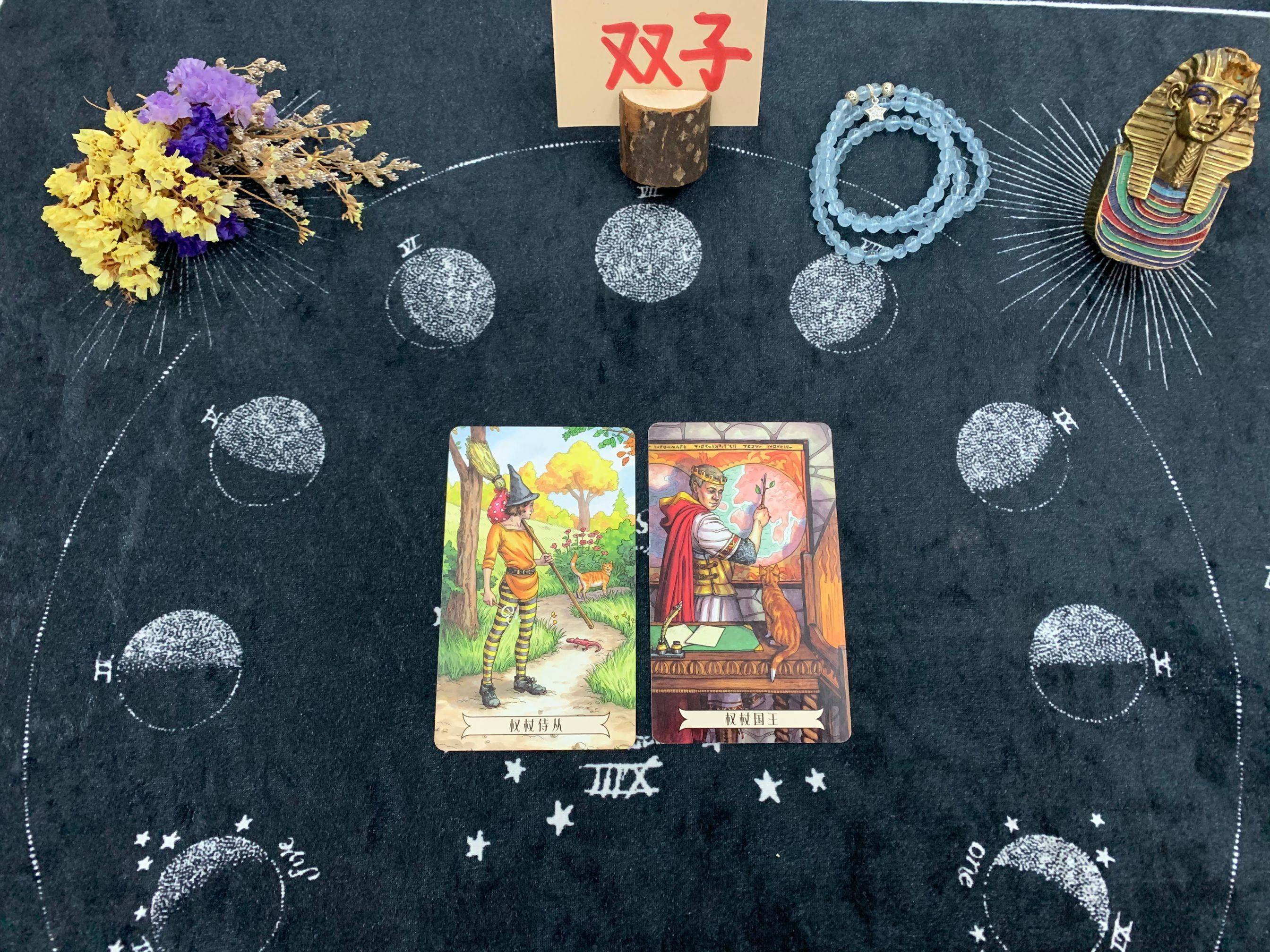 森林双子座年运势怎么样(双子座2027年运势星座屋)