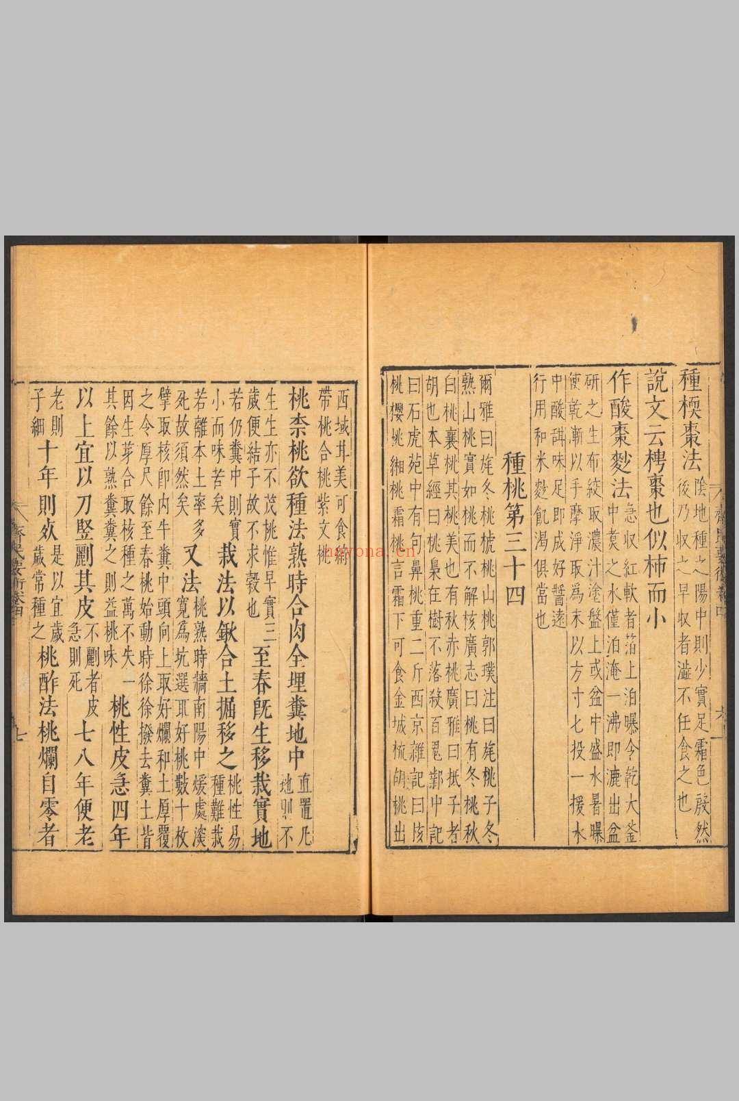 占卜之术的拼音(占卜之术的拼音是什么) 占卜之术的拼音(占卜之术的拼音是什么)