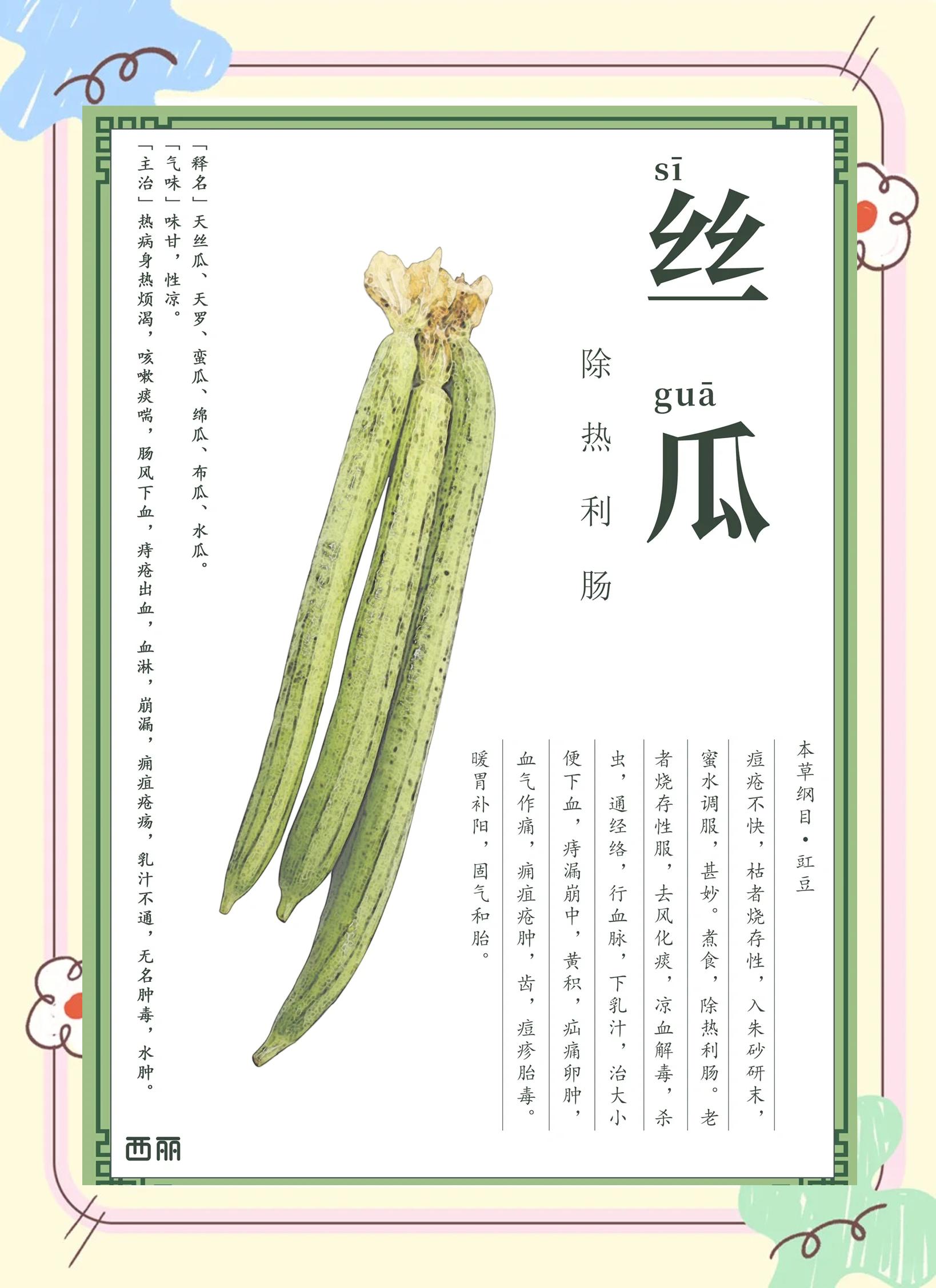 梦见摘丝瓜代表什么感情呢(梦见摘丝瓜代表什么感情呢女生)
