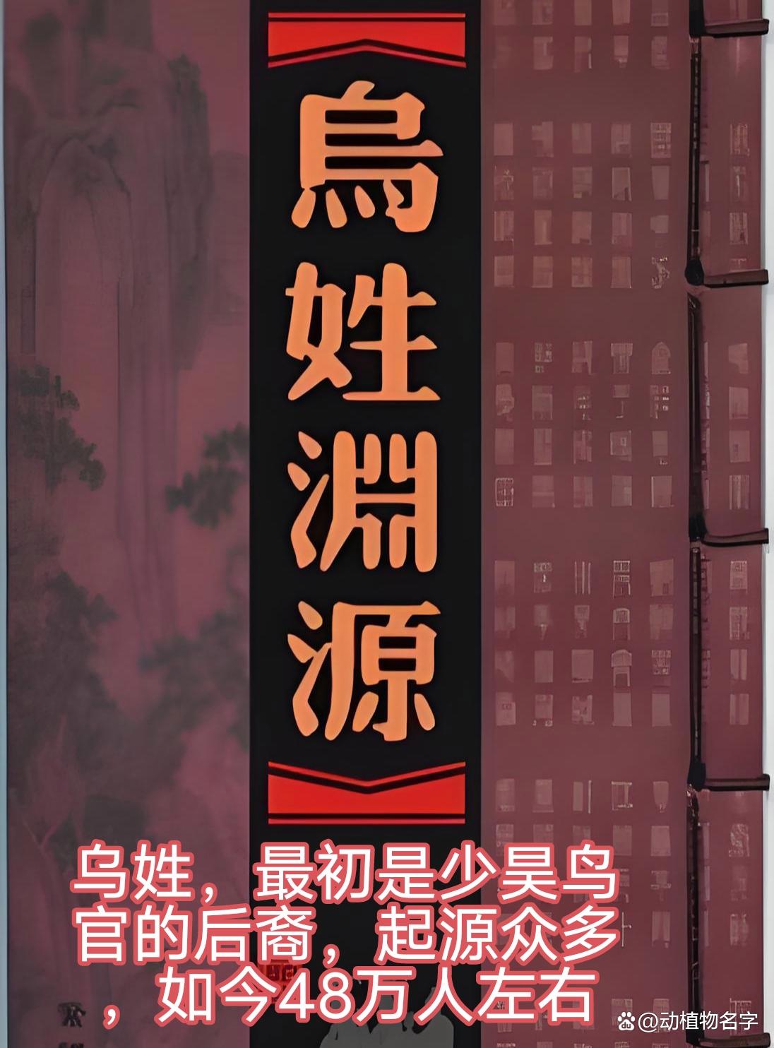 100名姓氏完整版(100个姓氏的完整排名)