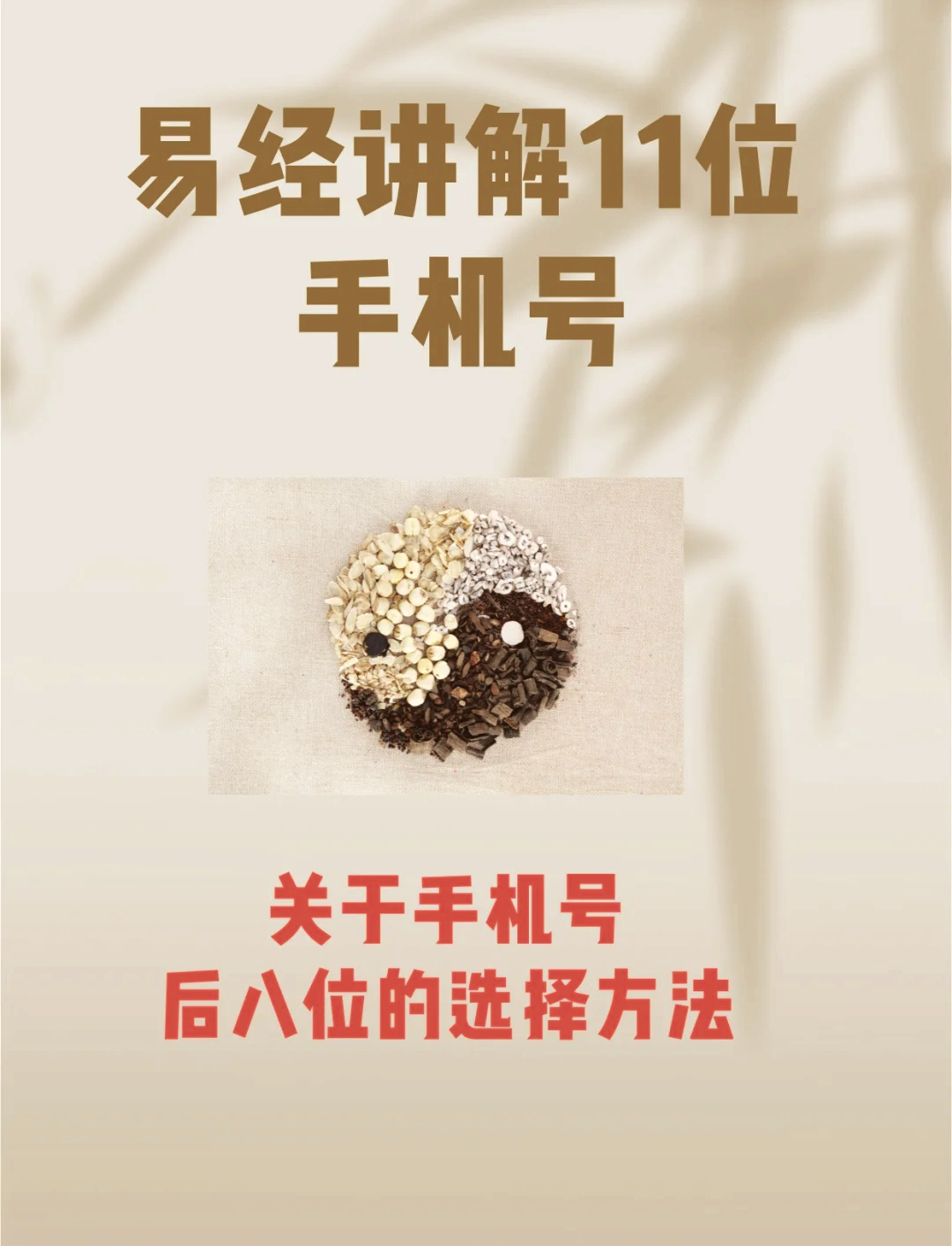 周易号码测试官网(周易测号码免费入口在哪)