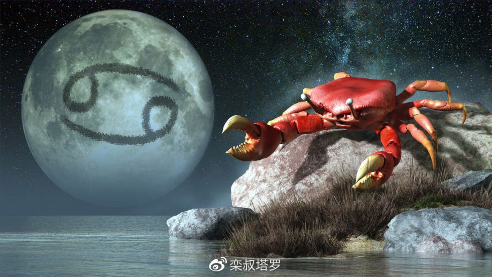十二星座今日运势查询水墨先生(十二星座今日运势查询水墨先生运势20262月5日)