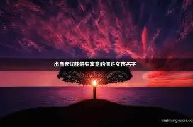 姓名打分宋越(宋禹泽姓名测试打分)