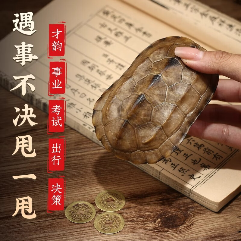 龟壳摇卦免费指南下载(龟壳摇卦免费指南下载百度网盘) 龟壳摇卦免费指南下载(龟壳摇卦免费指南下载百度网盘)