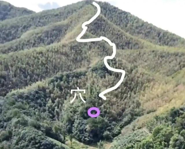 风水大师看坟地步骤(风水大师看坟地步骤图) 风水大师看坟地步骤(风水大师看坟地步骤图)