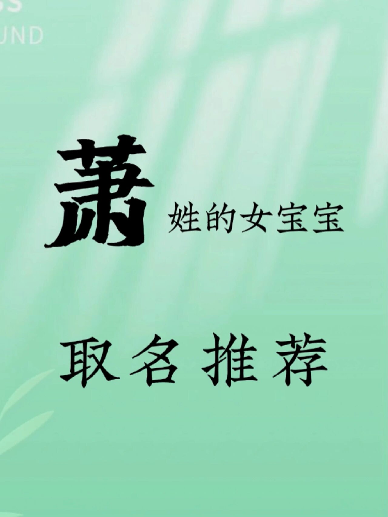 起名字男孩2023免费起名(起名字男孩2023免费起名大全)