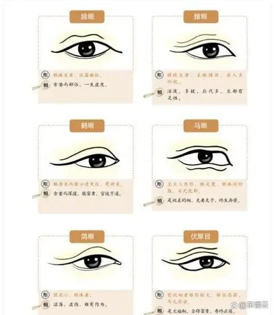 麻衣相法和八字算命谁更准的简单介绍 麻衣相法和八字算命谁更准的简单介绍