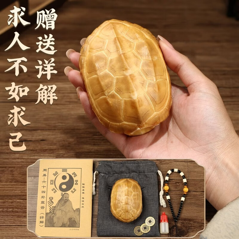 龟壳摇卦每日一卦教程(龟壳摇卦免费版每日一卦) 龟壳摇卦每日一卦教程(龟壳摇卦免费版每日一卦)
