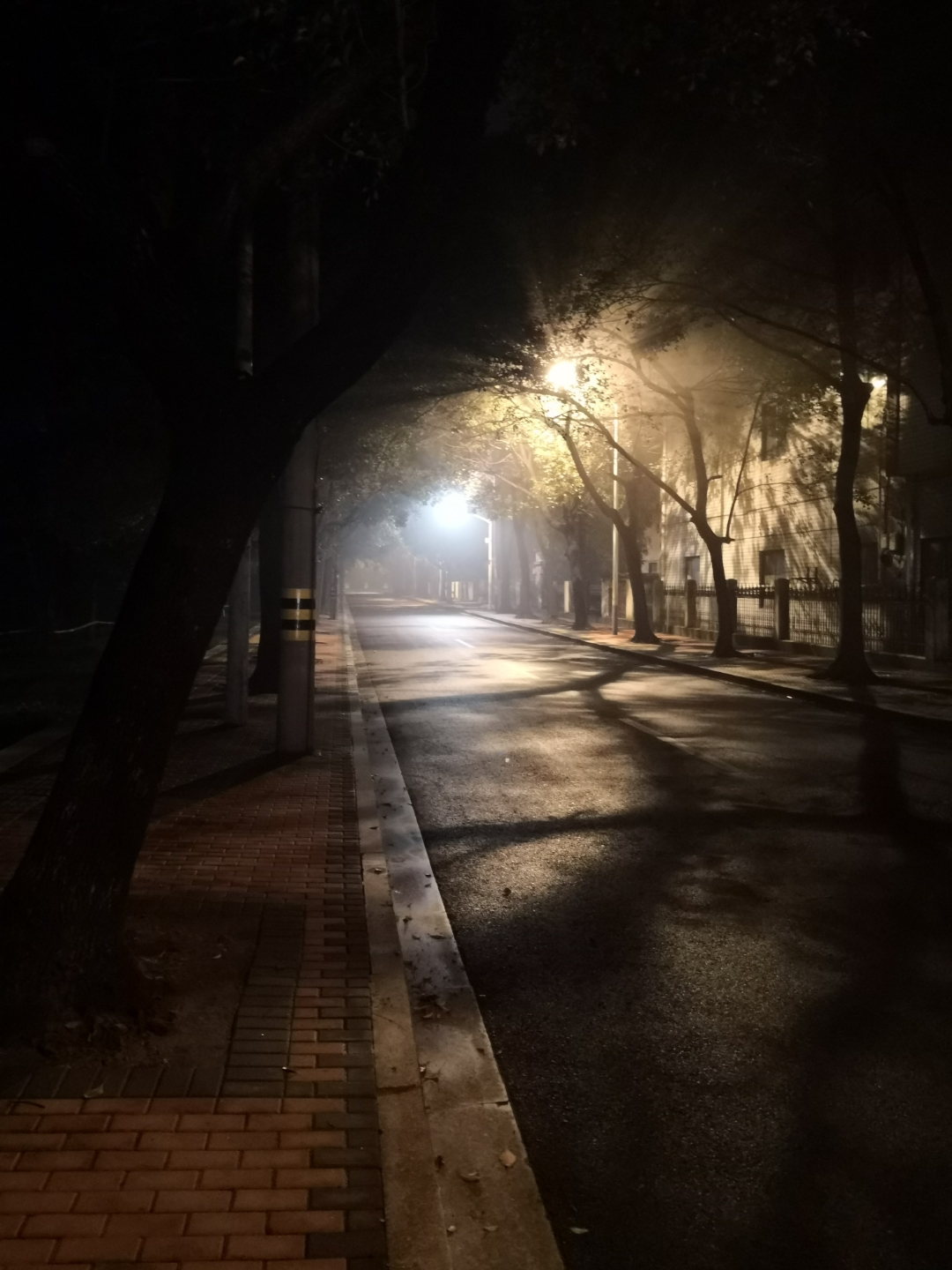 家门前横路或竖路(门前有横路也有竖路) 家门前横路或竖路(门前有横路也有竖路)