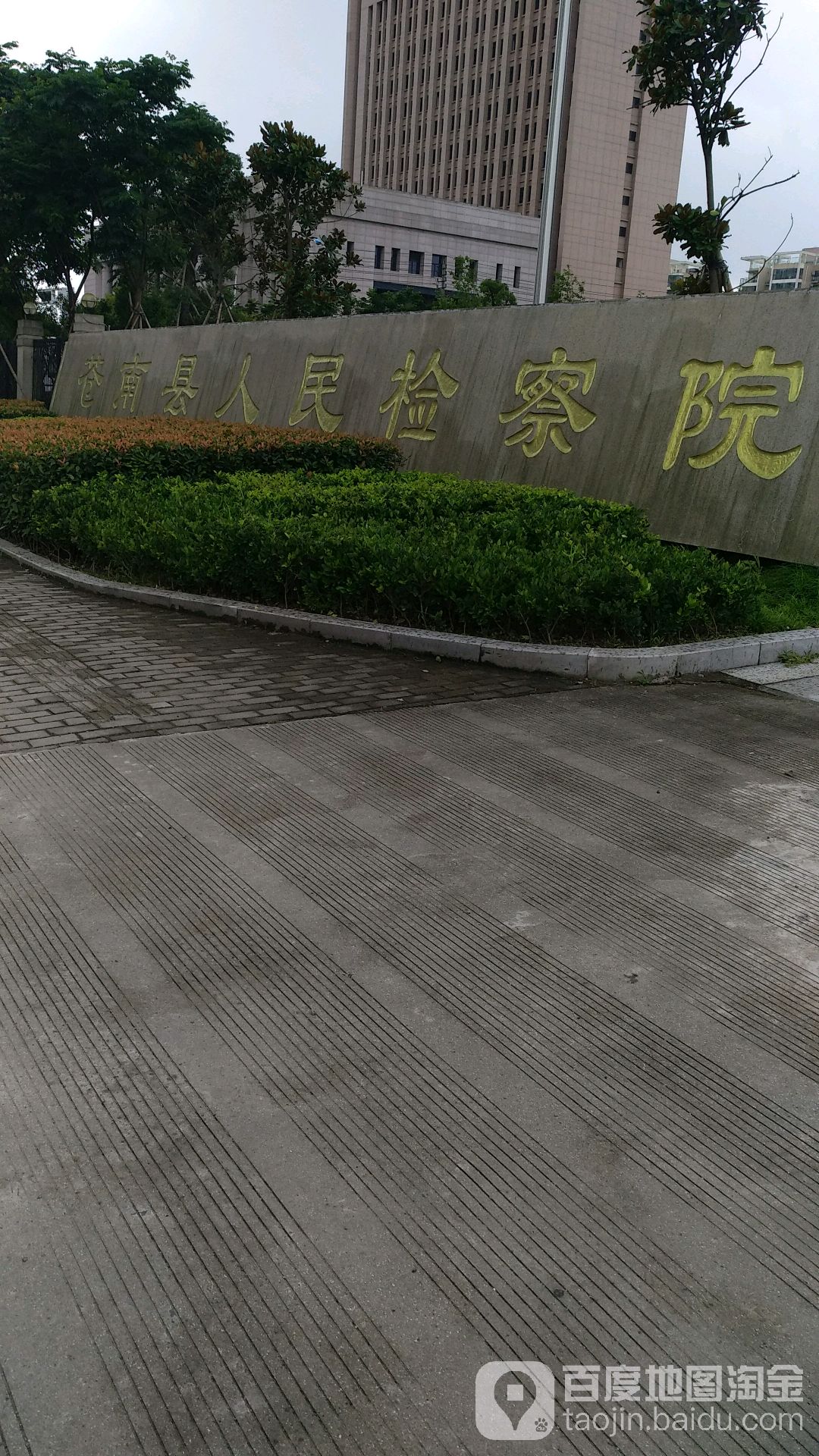 苍南县共有多少姓氏和名字(苍南县共有多少姓氏和名字呢) 苍南县共有多少姓氏和名字(苍南县共有多少姓氏和名字呢)