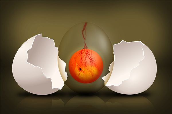 周公解梦大全梦见怀孕了啥意思(周公解梦大全梦见自己怀孕是个女孩)