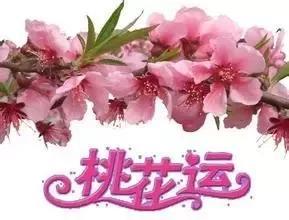 桃花运占卜免费(桃花运最火的三个版本) 桃花运占卜免费(桃花运最火的三个版本)