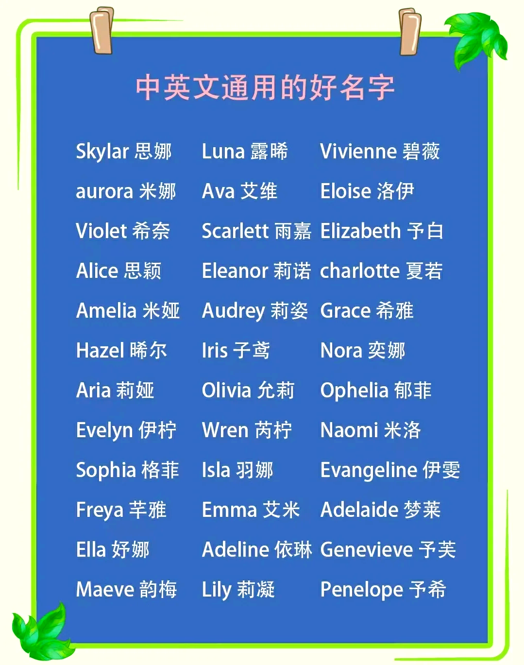 名字的英语(名字的英语拼读)
