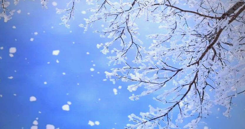 周公解梦下雪代表啥意思(周公解梦下雪代表啥意思啊) 周公解梦下雪代表啥意思(周公解梦下雪代表啥意思啊)
