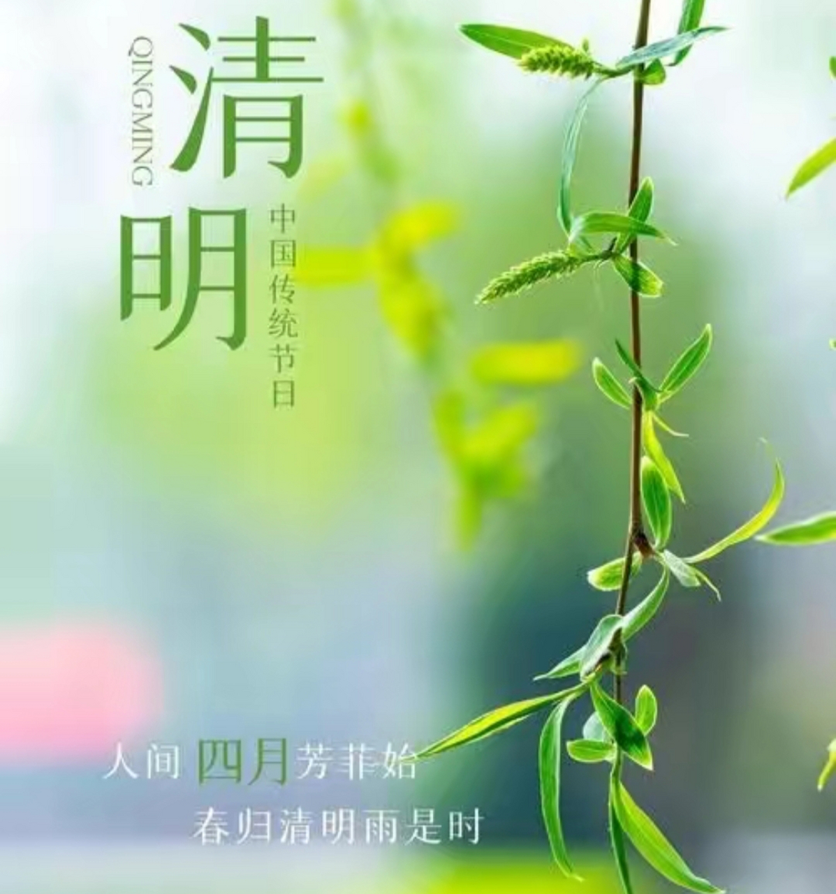 上坟必说三句话(上坟必说三句话,是孙女对爷爷说的话) 上坟必说三句话(上坟必说三句话,是孙女对爷爷说的话)
