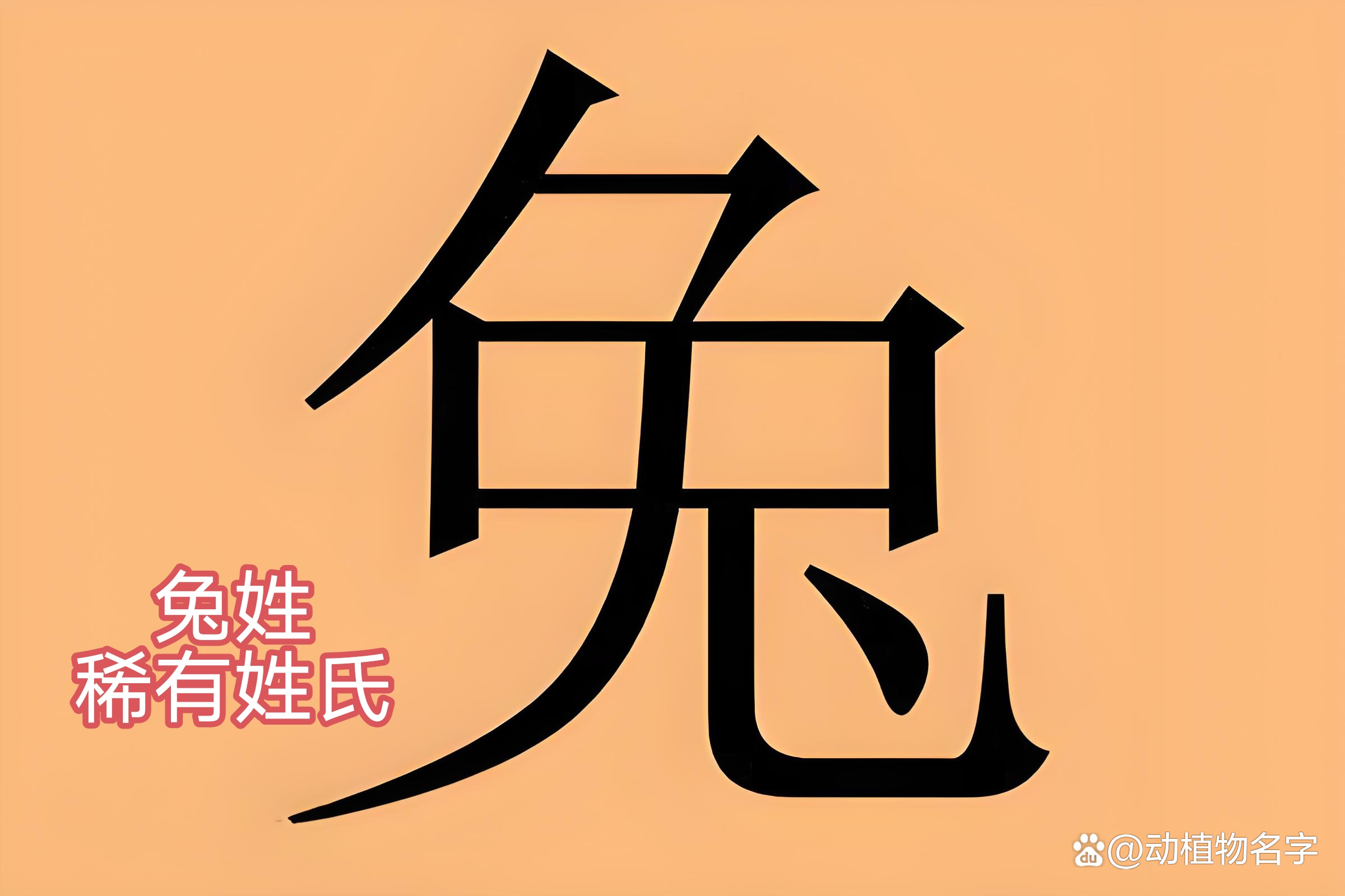 姓氏是动物的有哪些(姓氏是动物的有哪些人) 姓氏是动物的有哪些(姓氏是动物的有哪些人)