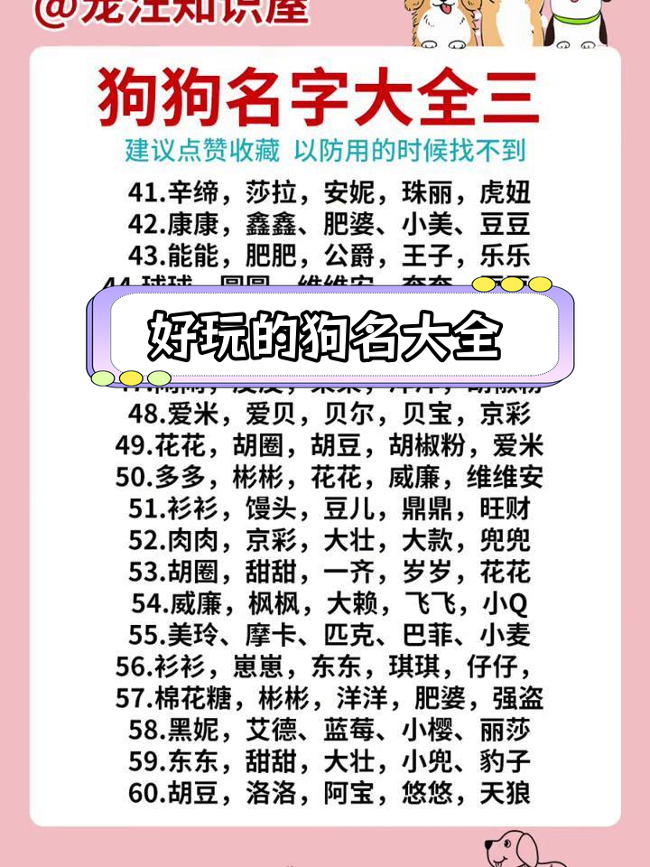 给狗狗起名字(给狗狗起名字好听的)