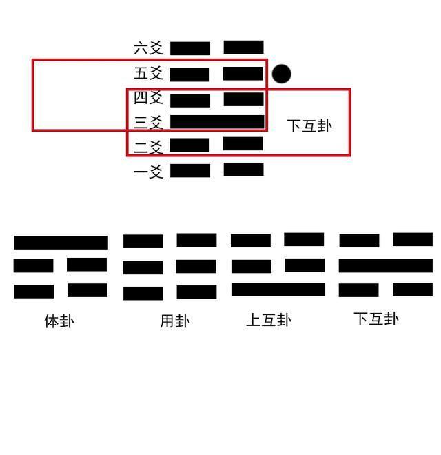 每日一卦免费占卜步骤(每日一卦免费占卜步骤是什么)