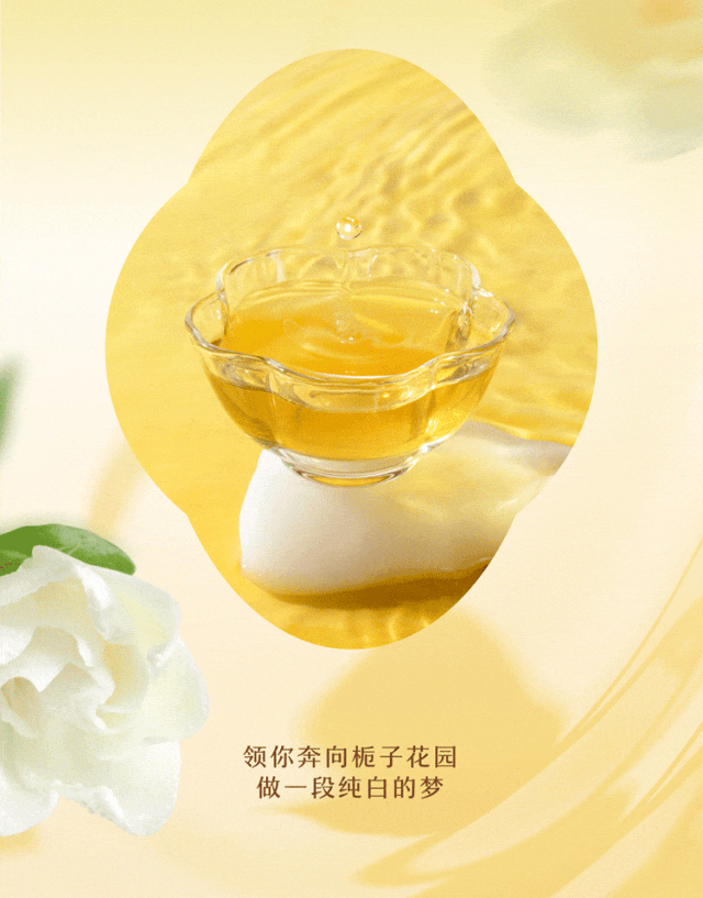 每日免费一签怎么抽(每日一签抽一签免费攻略) 每日免费一签怎么抽(每日一签抽一签免费攻略)