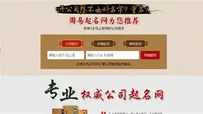 阿启起名网免费取名(阿启免费算命网打分步骤)
