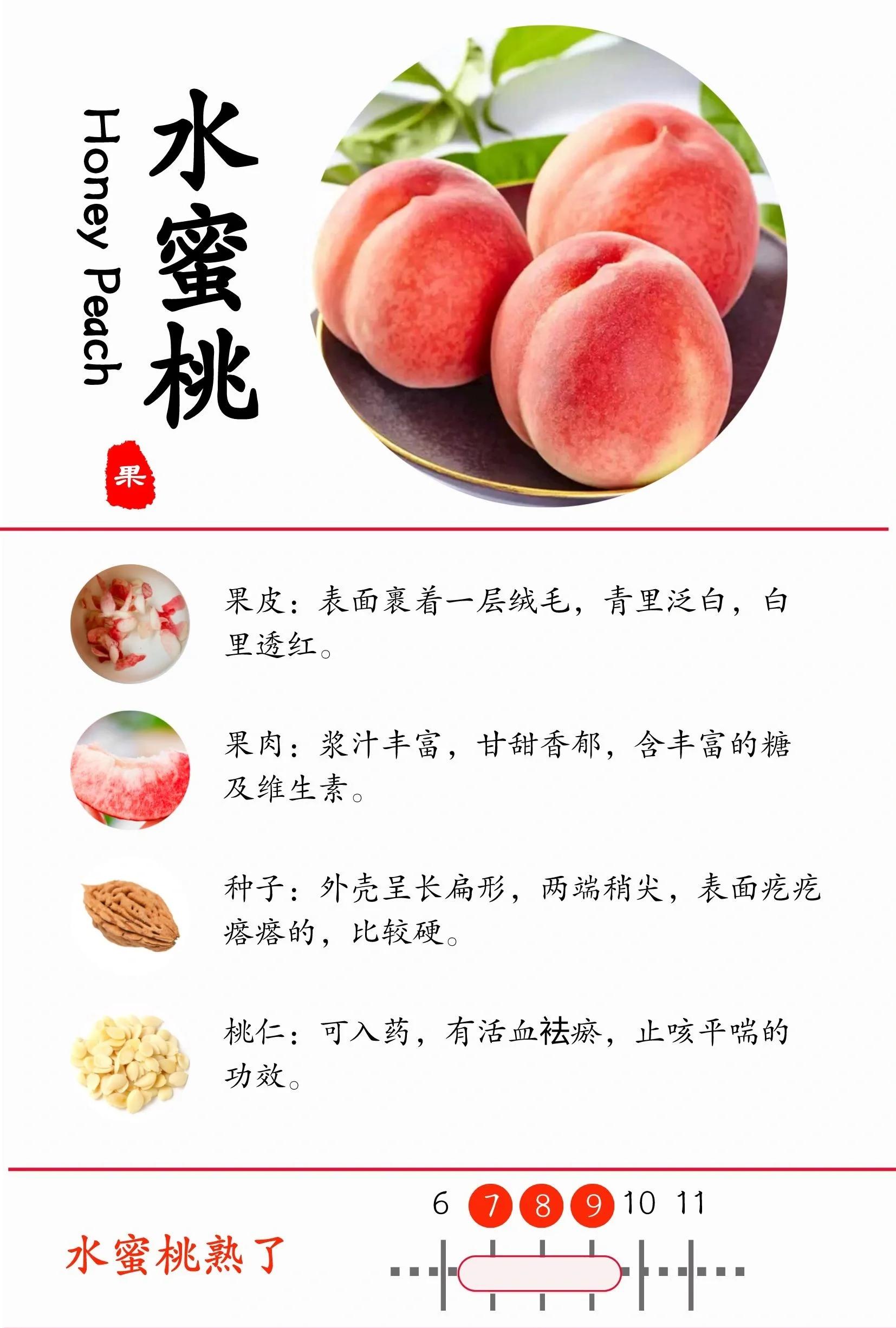 一亩桃树能产多少桃胶合适的果实(一亩桃树能产多少桃胶合适呢图片视频教程) 一亩桃树能产多少桃胶合适的果实(一亩桃树能产多少桃胶合适呢图片视频教程)