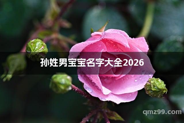 孙氏起名字大全男孩(孙氏含木和土字的名字男孩怎么取好听)
