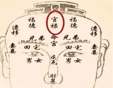 白虎星女孩子的八字(白虎星在八字中代表什么) 白虎星女孩子的八字(白虎星在八字中代表什么)